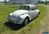 Classic 1967 Volkswagen Beetle - Classic Bug for Sale
