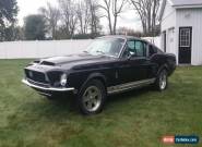 1968 Shelby for Sale