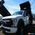 Classic 2019 Ford F-450 F-450 XL for Sale