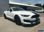 2019 Ford Mustang GT350 for Sale