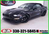 Classic 2019 Ford Mustang Roush Stage 2 GT Premium for Sale