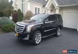 Classic 2017 Cadillac Escalade Cadillac Escalade Lincoln Lexus Jeep Audi BMW Merc for Sale