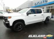 2020 Chevrolet Silverado 1500 Custom Trail Boss MSRP $47060 for Sale