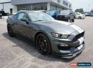 2019 Ford Mustang Shelby GT350R Fastback for Sale