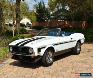 Classic 1971 Ford Mustang for Sale