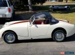 1958 Austin Healey Sprite for Sale