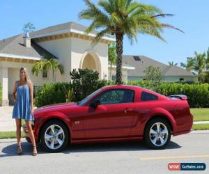 Classic 2008 Ford Mustang for Sale