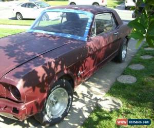 Classic 1966 Ford Mustang for Sale