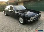 1987 Daimler Six Blue Automatic 4sp A Sedan for Sale