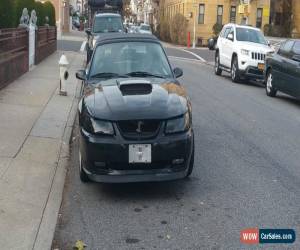 Classic 2001 Ford Mustang for Sale