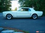 Ford: Mustang coupe for Sale