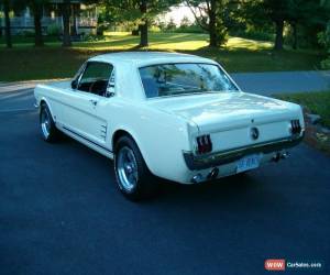 Classic Ford: Mustang coupe for Sale