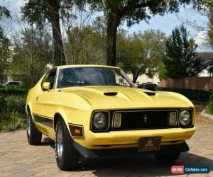 Classic 1973 Ford Mustang for Sale
