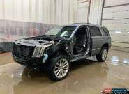 2019 Cadillac Escalade for Sale