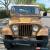 Classic 1979 Jeep CJ Renegade for Sale