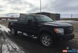 Classic 2009 Ford F-150 FX4 for Sale