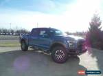 2019 Ford F-150 802a Raptor PERFORMANCE BLUE for Sale