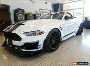 2020 Ford Mustang Shelby Signature Edition for Sale