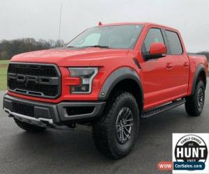 Classic 2019 Ford F-150 Raptor for Sale