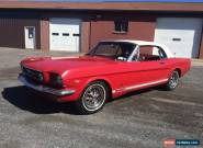 1966 Ford Mustang for Sale