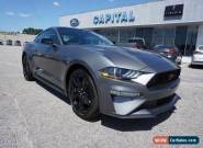 2021 Ford Mustang EcoBoost Fastback for Sale