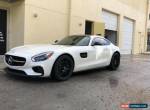 2017 Mercedes-Benz Other AMG GT for Sale