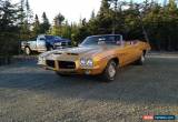 Classic 1971 Pontiac GTO for Sale