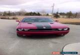 Classic Dodge : Challenger SRT8 for Sale