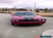 Dodge : Challenger SRT8 for Sale