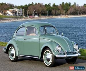 Classic 1957 Volkswagen Beetle - Classic for Sale