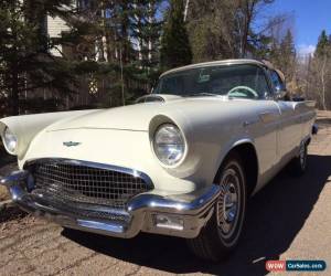 Classic Ford: Thunderbird for Sale