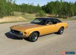 Ford: Mustang Grande for Sale