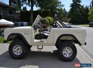 Ford: Bronco for Sale