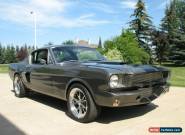 1965 Ford Mustang GT350 for Sale