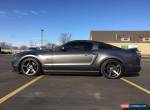 Ford: Mustang GT/CS for Sale