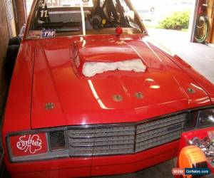 Classic 1980 Ford Fairmont for Sale