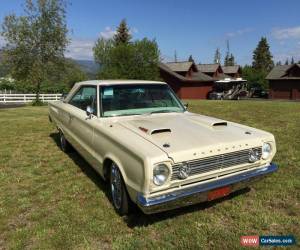 Classic 1966 Plymouth Satellite for Sale