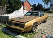 1978 Pontiac Trans Am 6.6 T/A Special Edition for Sale