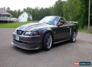 Ford: Mustang GT STEEDA Q-400 for Sale