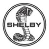 Retro Shelby for Sale