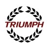 Retro Triumph for Sale
